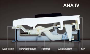 AHAIV-F
