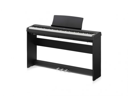 Designer Stand and Pedal Lyre