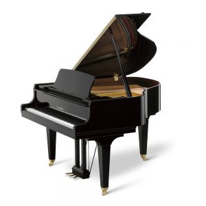 GL20 Polished Ebony