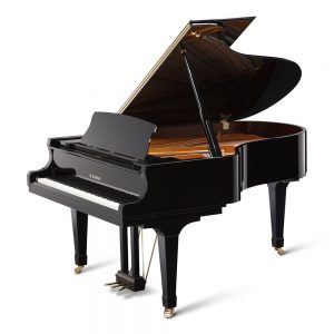 GX-5 Polished Ebony