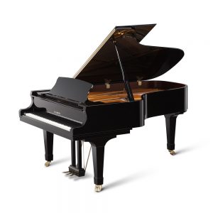 GX-6 Polished Ebony