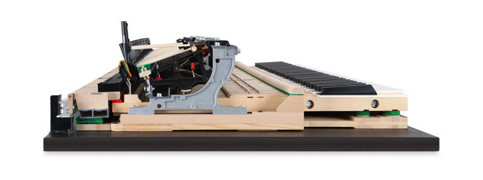 Kawai NV10S Action