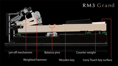 RM3 Action